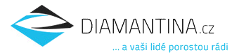 Diamantina training s.r.o. A vaši lidé porostou rádi...